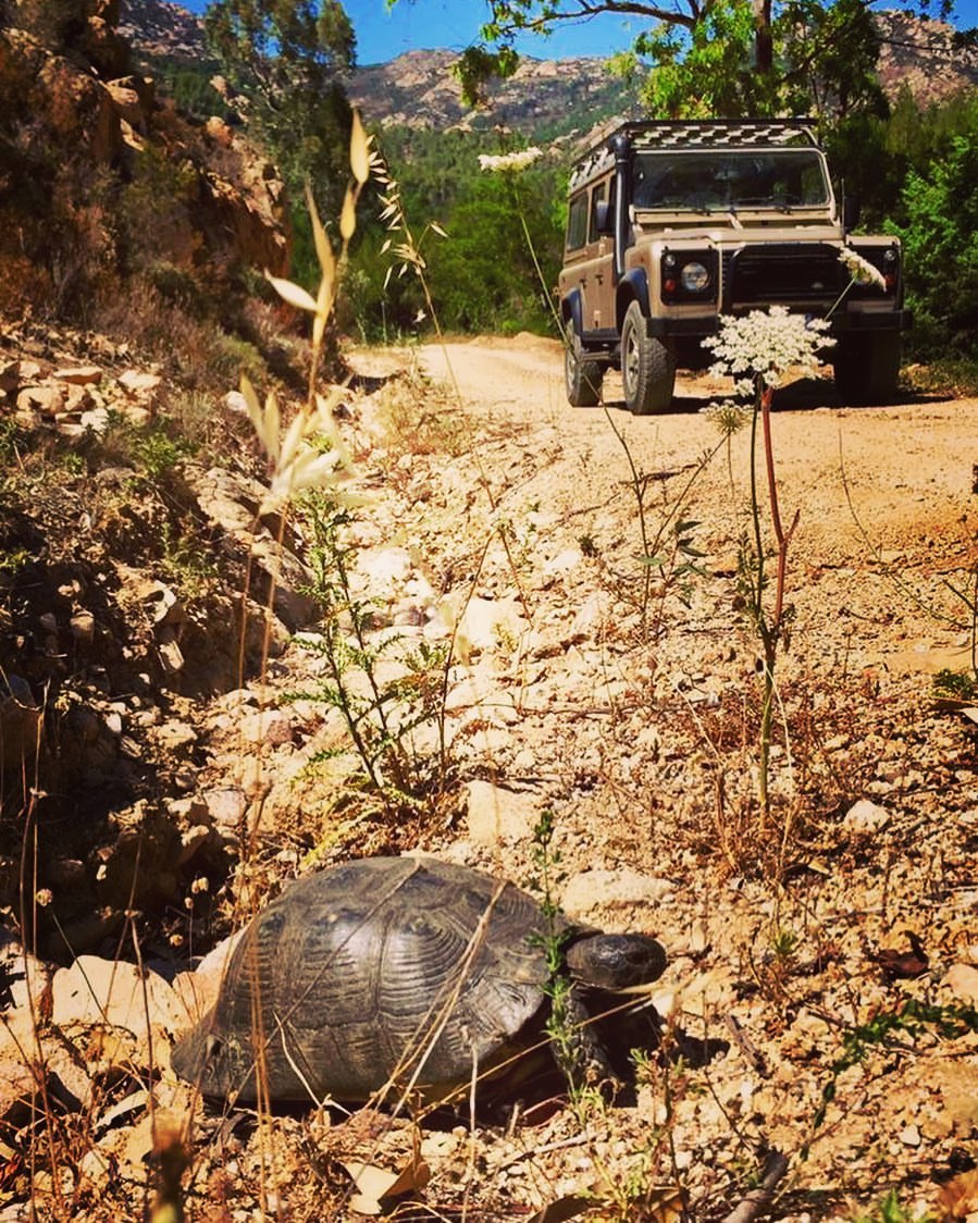 Gita-4X4-San-Teodoro-Sardegna-Sardinia-Exploring